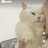@아이브루-u2l