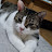 @trudiwilkinson1369's avatar