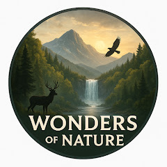 Wonders Of Nature