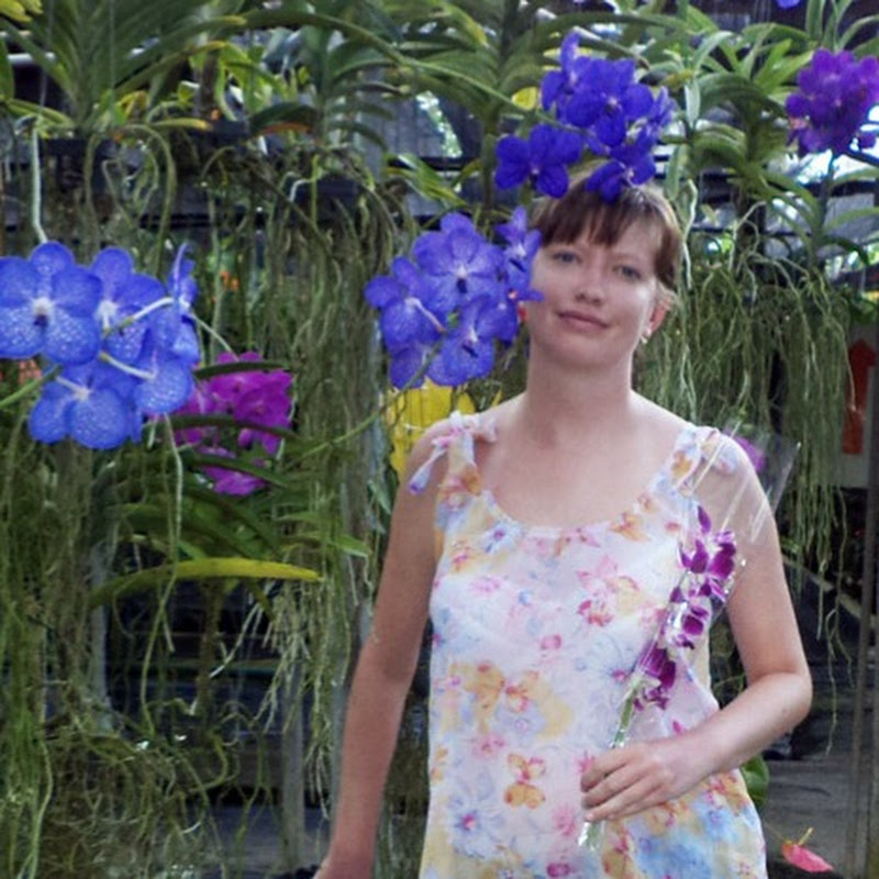 Цветочные советы от Елены Logo