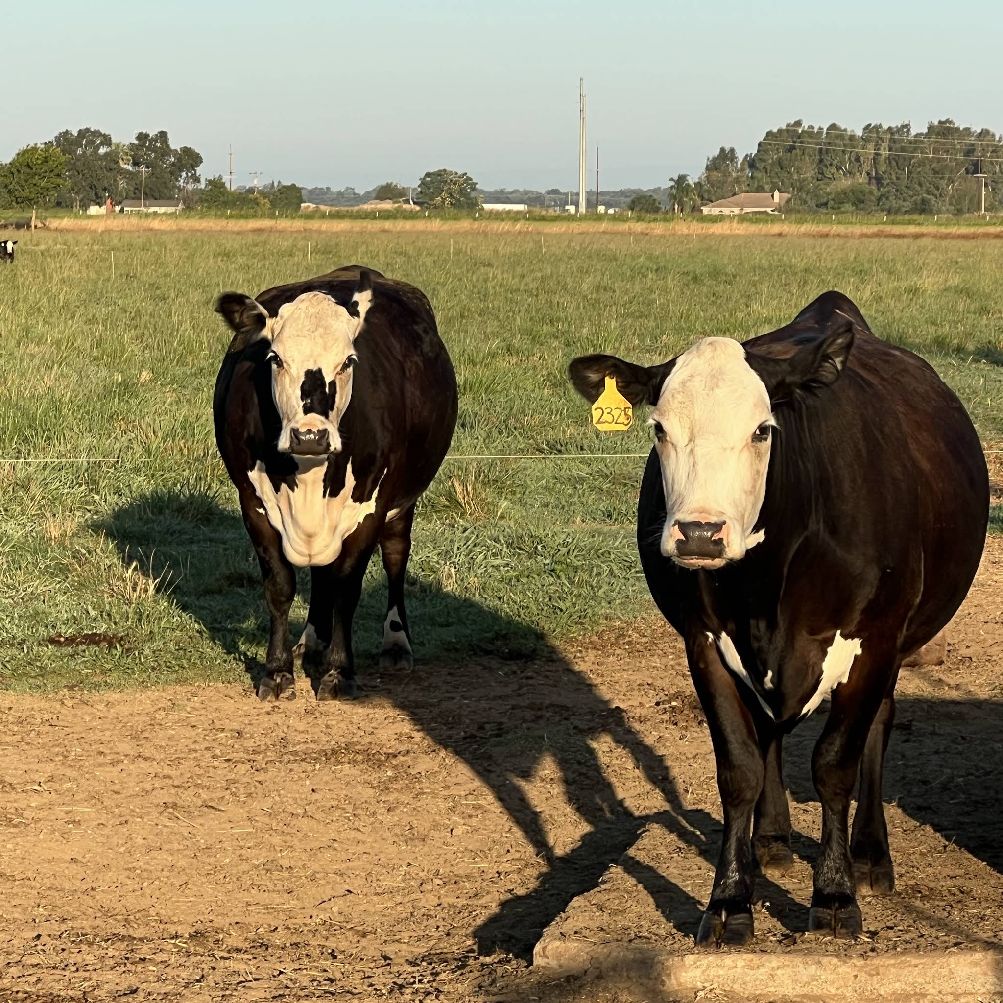 Post from Farmer Tyler Ranch