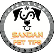 SanDan Pet Tips