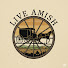 WRC-bDxXgBc-channel-avatar-Live Amish