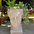jrRwDMIJ1bs-channel-avatar-Cacti and Succulents with Senior Sue
