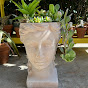Cacti and Succulents with Senior Sue Avatar
