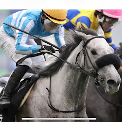 十六夜馬好きチャンネル