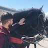 Автор