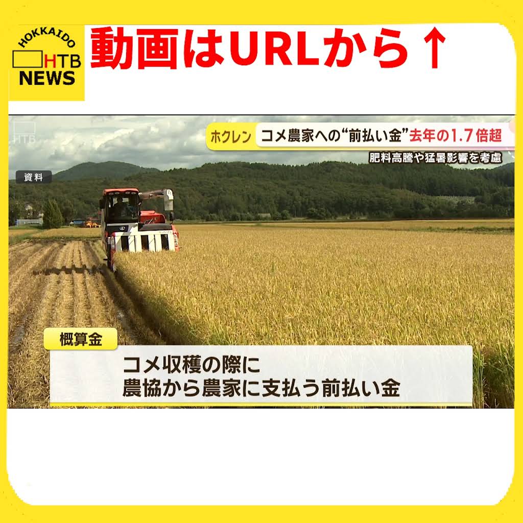 お支払いはコンビニ決済以外でお願いします。海揚がりナウマンゾウ化石11 お支払いはコンビニ決済以外でお願いします。海揚がり