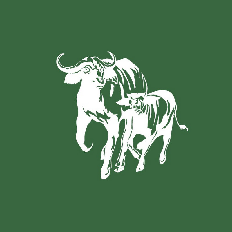 EcoTraining TV icon