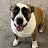 @napalmstickstokids_0306's avatar