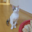 @뿅뿅-d7h