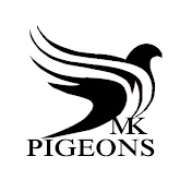 MK PIGEONS  & BIRDS