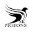 MK PIGEONS  & BIRDS