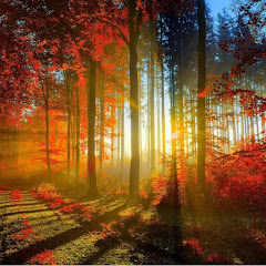 スカッとする話@056