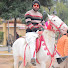 0lpfQURC1Rs-channel-avatar-Pets Lover in Punjab
