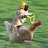 Pug riding chicken