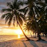 5taOD7HcN3w-channel-avatar-PARADISE  RD 