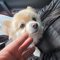 히영이 괴롭히기