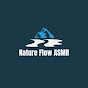 Nature Flow ASMR logo