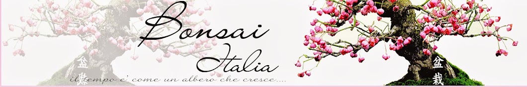 bonsai italia YouTube channel avatar