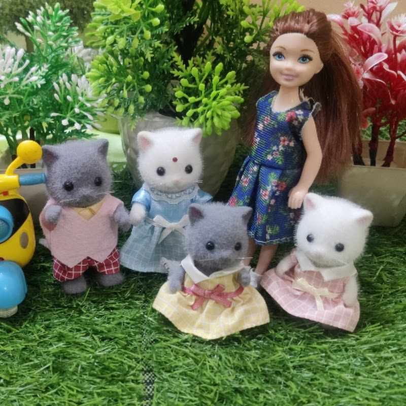 Cat wali barbi