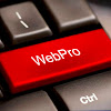 What could WebPro Education buy with $1.31 million?