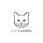 The Cat Channel logo