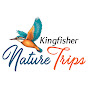 Kingfisher Nature Trips logo