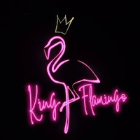 King Flamingo profile image