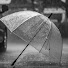 3JqJkcMl97I-channel-avatar-ALWAYS RAINY DAYS