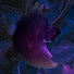 AWNHYabvy-c-channel-avatar-COD_Gamerrs4
