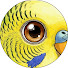 QKaldr_cONU-channel-avatar-Budgie Psychology