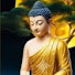 UEGf35-KVhk-channel-avatar-SereneStone
