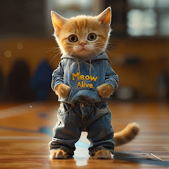 Meow Aliveの画像