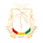 Gouvernement de la République de Guinée YouTube channel avatar