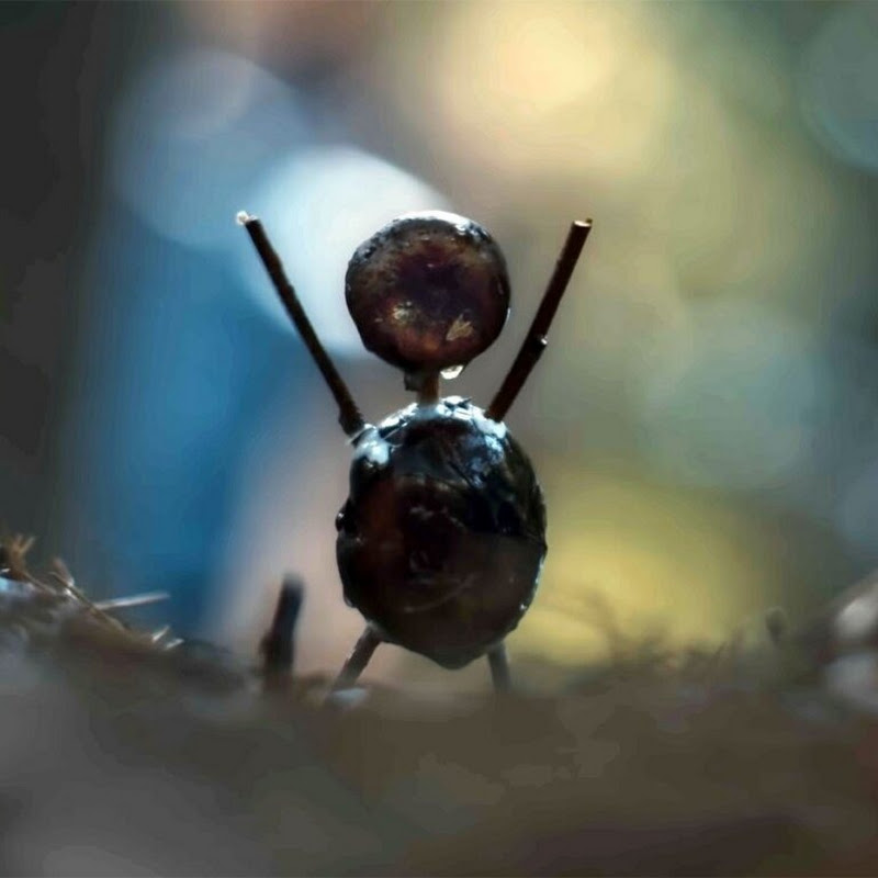 Скандинавские детективы