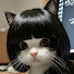 U4Qg6yp-P_I-channel-avatar-Xài Não Đáng Yêu