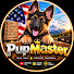 fojLZFDf73E-channel-avatar-Pup Master⭐