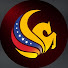 m_DB9FBqFFE-channel-avatar-Venezuelan Student Association UCF