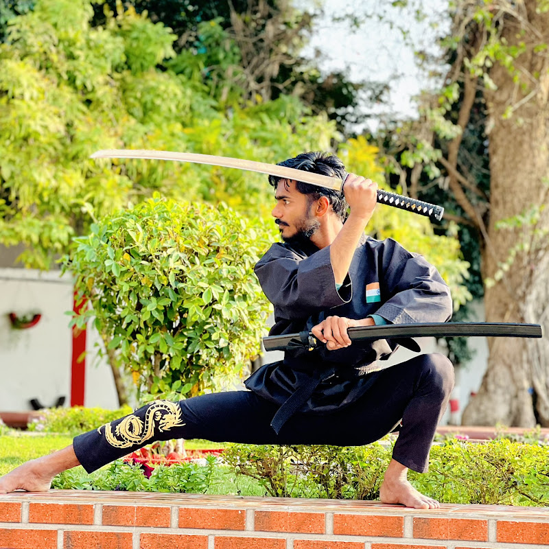 The modern martial arts KICKS profile avatar