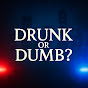 Drunk or Dumb? | Police Bodycam Videos logo