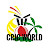 CRIC WORLD