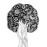 bQB5jkv7AzY-channel-avatar-LIGHT TREE ORACLE