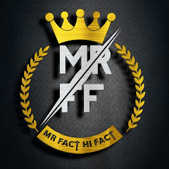 Mr Fact Hi Fact