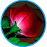 N9fDtmVHVlg-channel-avatar-VOROSA. COM and VAROSA. COM