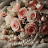 @RosesPearlsAndPetals-JC1S
