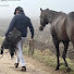 Hqk4PCHUz8k-channel-avatar-Michael Peace - Think Equus