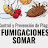 Fumigaciones Somar