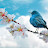 @water786-b6z
