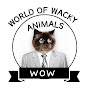 World of Wacky WOW Animals logo
